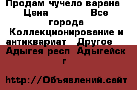 Продам чучело варана › Цена ­ 15 000 - Все города Коллекционирование и антиквариат » Другое   . Адыгея респ.,Адыгейск г.